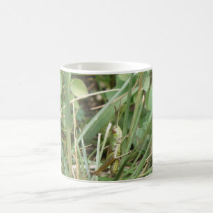 Grasshopper Camouflage Bug Mug