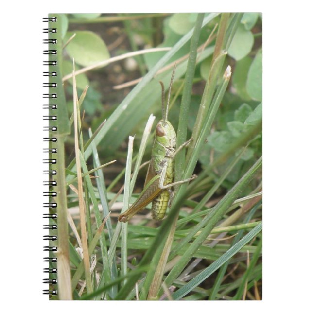 Grasshopper Camouflage Notebook (Front)
