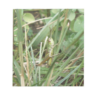 Grasshopper Camouflage Notepad