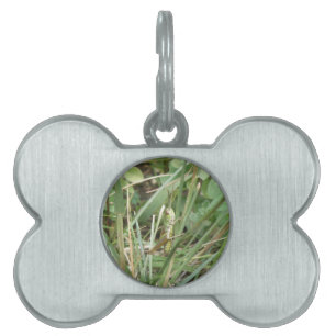 Grasshopper Camouflage Pet Tag