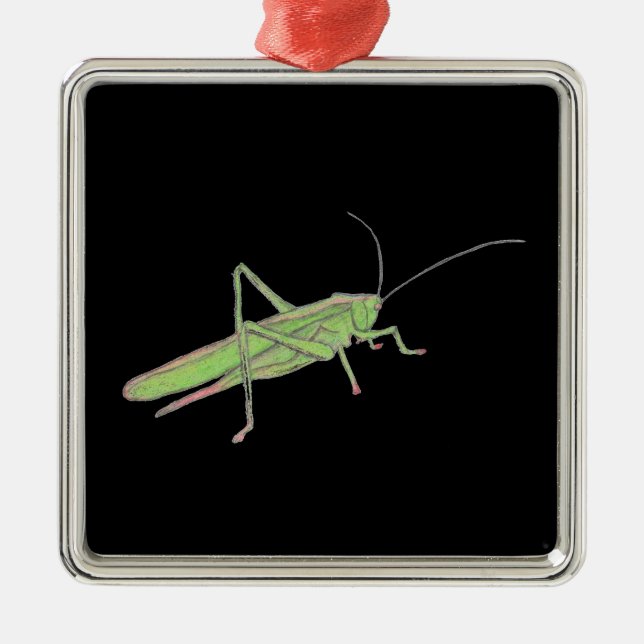 Grasshopper Ceramic Ornament (Front)