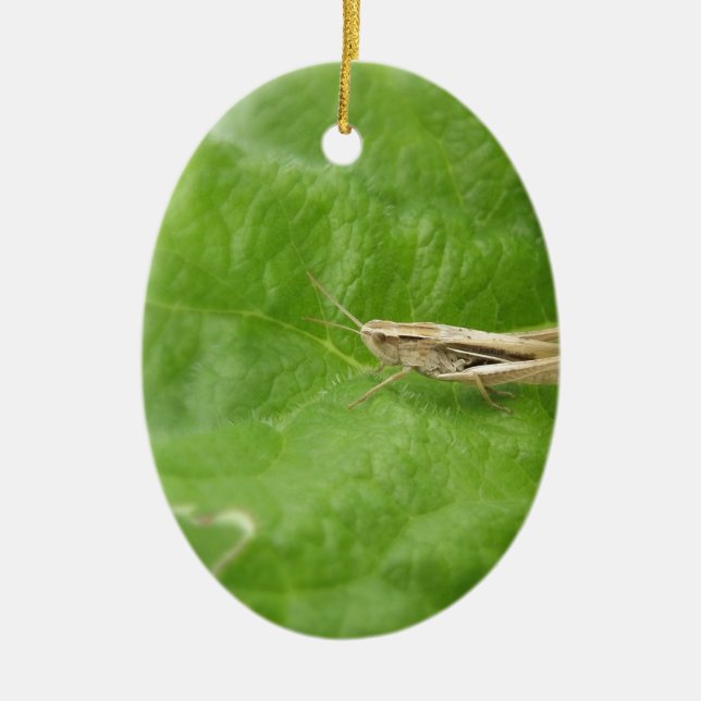 Grasshopper Ceramic Tree Decoration (Front)