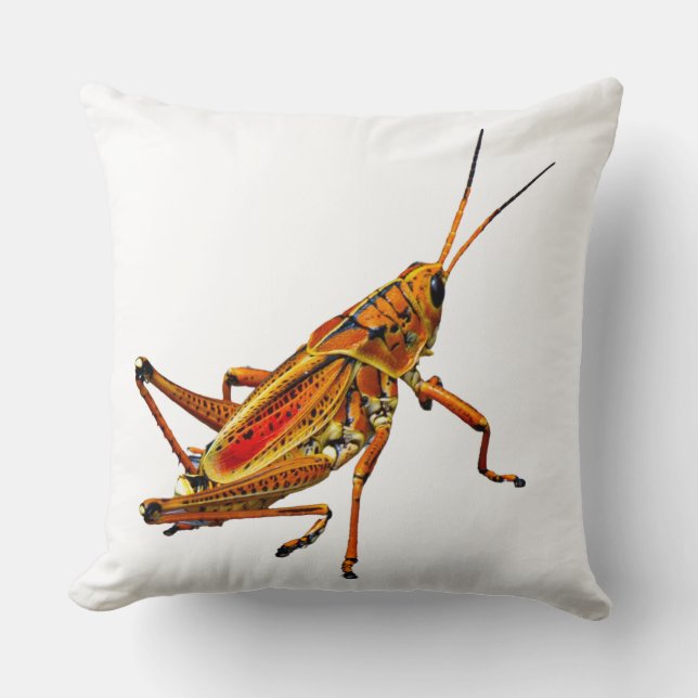 Grasshopper Cushion (Front)