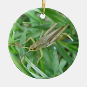 Grasshopper Custom Birthday Ceramic Tree Decoration