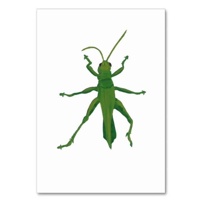 Grasshopper Custom Insect Reading Flashcards Table Number (Front)