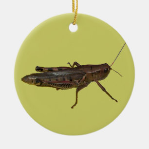 Grasshopper Design Ceramic Tree Decoration