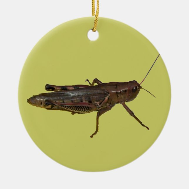 Grasshopper Design Ceramic Tree Decoration (Front)