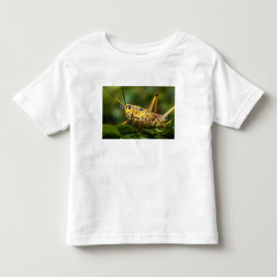 Grasshopper, Everglades National Park, Florida, Toddler T-Shirt