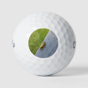 GrassHopper Golf Balls