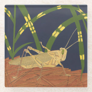 Grasshopper in Green Grass on Blue Background Glass Coaster