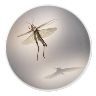 Grasshopper in motion ceramic knob