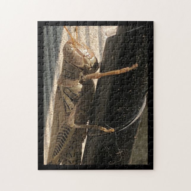Grasshopper Jigsaw Puzzle (Vertical)