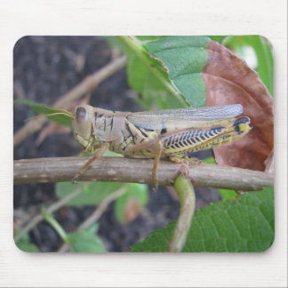 Grasshopper Mouse Mat