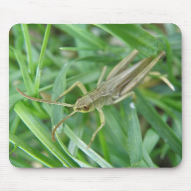 Grasshopper Mousepad (Front)