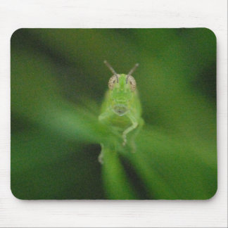 Grasshopper Mousepad