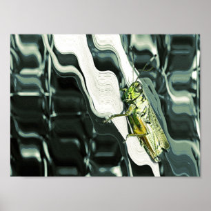 Grasshopper on Abstract Poster