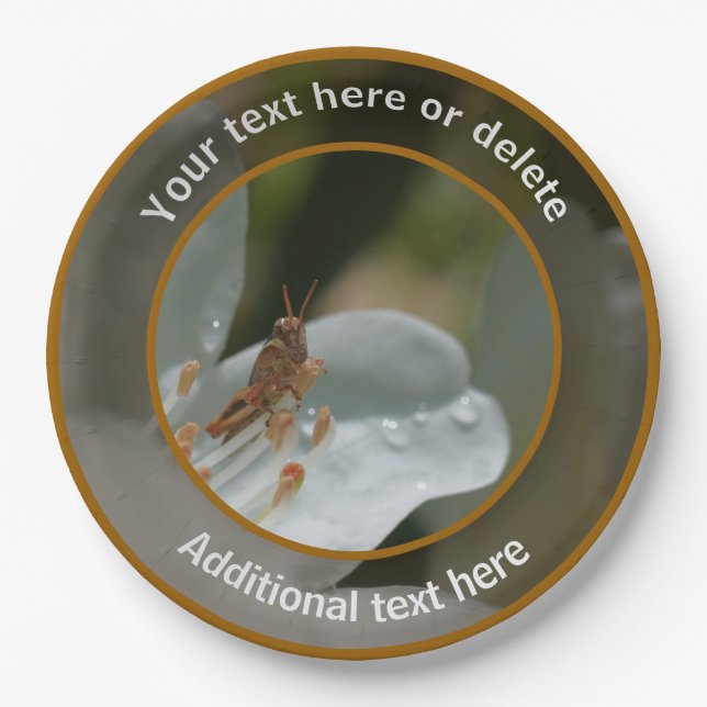 Grasshopper On Azalea Flower Personalised Party Paper Plate (Front)