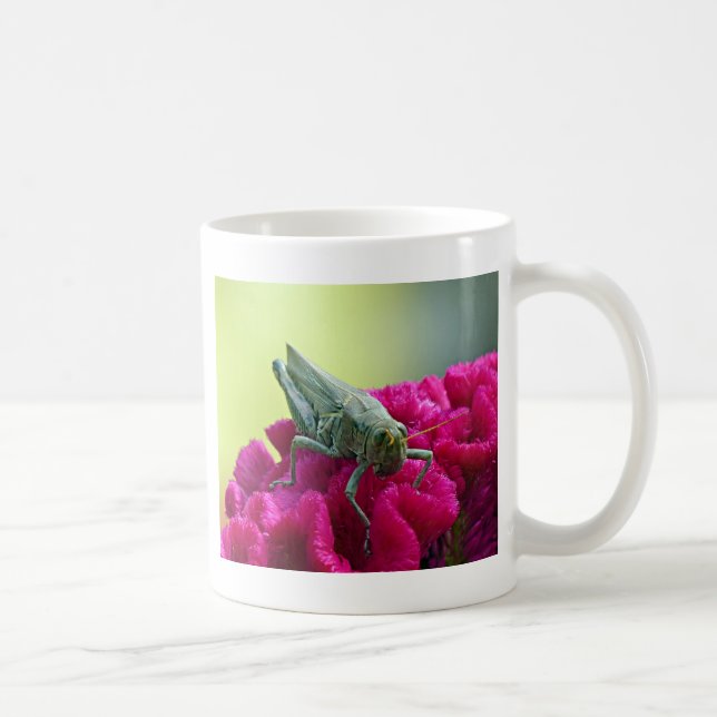 Grasshopper on Cockscomb Coffee Mug (Right)
