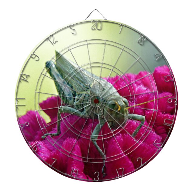 Grasshopper on Cockscomb Dartboard (Front)