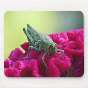 Grasshopper on Cockscomb Mouse Mat