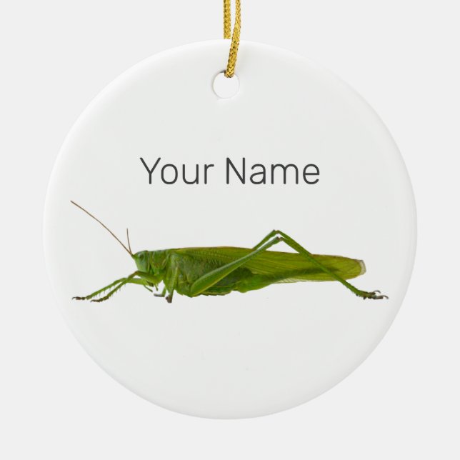 Grasshopper or Hayhorse Retro Insect Animal Gift Ceramic Tree Decoration (Front)