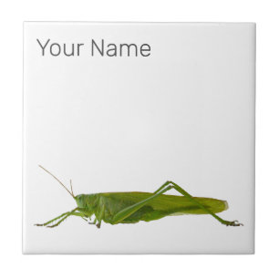 Grasshopper or Hayhorse Retro Insect Animal Gift Tile