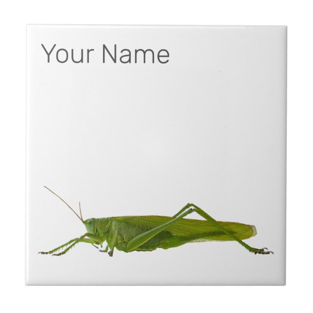 Grasshopper or Hayhorse Retro Insect Animal Gift Tile (Front)