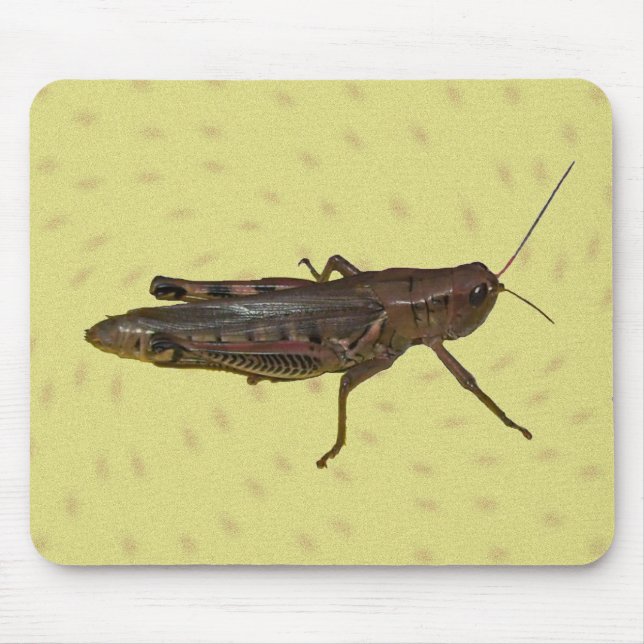 Grasshopper Pad Mouse Mat (Front)