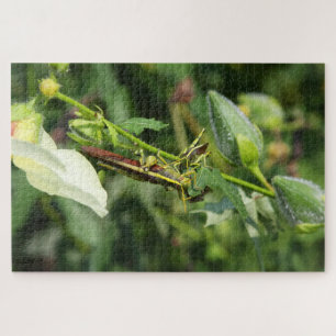 Grasshopper Pair 2 Jigsaw Puzzle