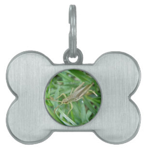 Grasshopper Pet Tag