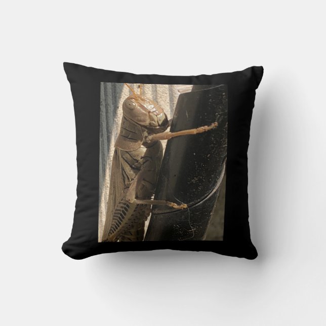 Grasshopper pillows (Front)