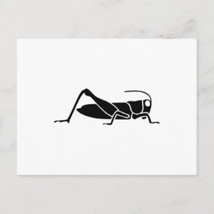Grasshopper Postcard