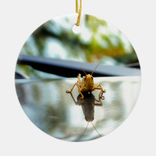 grasshopper stand off ceramic tree decoration