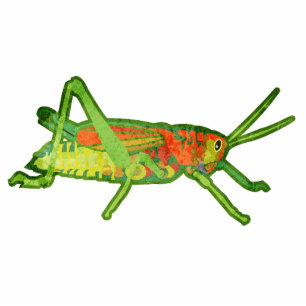 Grasshopper Standing Photo Sculpture