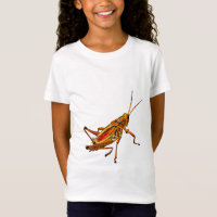 Grasshopper