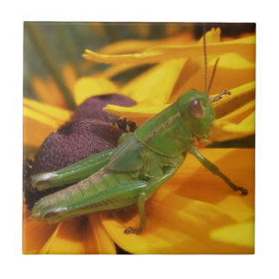 Grasshopper Tile