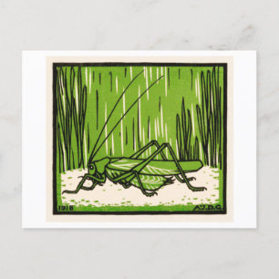 Grasshopper Vintage Illustration Postcard