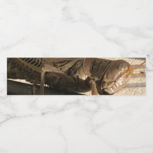 Grasshopper  water bottle label