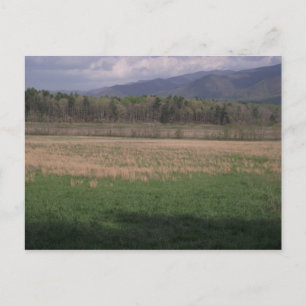 Grasslands in Cades Cove, Smoky Mountains Postcard