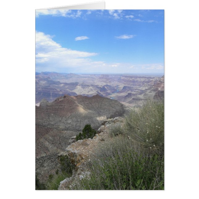Grassy Grand Canyon card (Front)