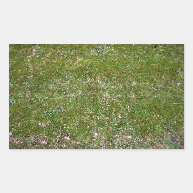 Grassy ground texture rectangular sticker (Front)