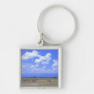 Grassy Plain Key Ring