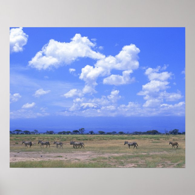 Grassy Plain Poster (Front)