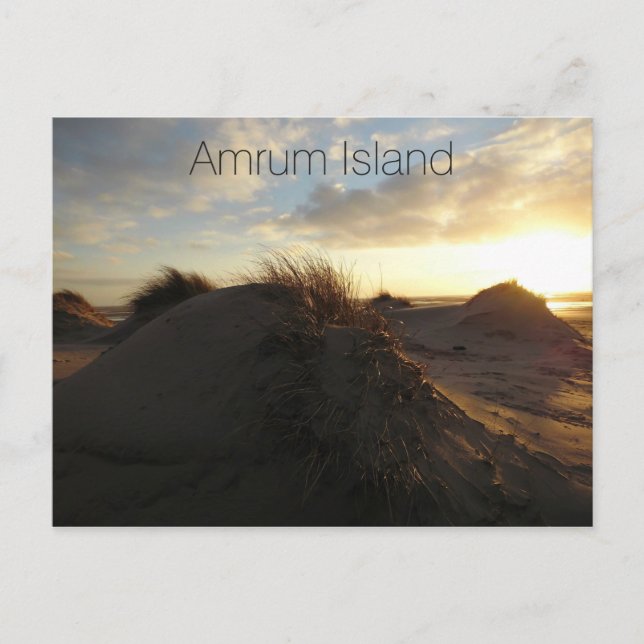 Grassy Sand Dunes at Sunset, Amrum Island, Germany Postcard (Front)