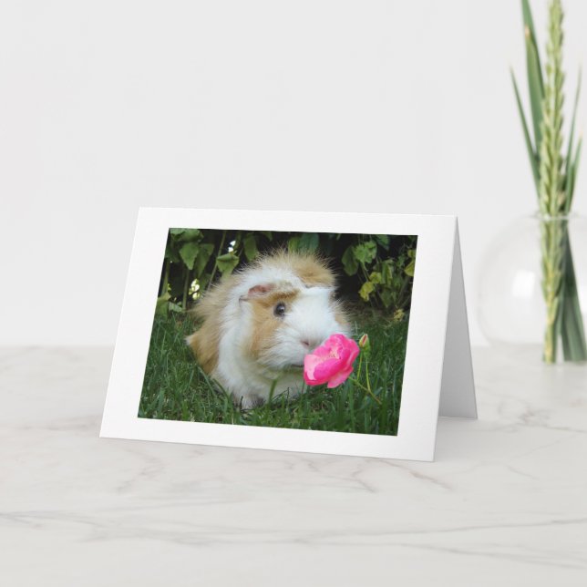 GRATEFUL GERBIL HAPPY IT'S "YOUR" BIRTHDAY NOT HIS CARD (Front)