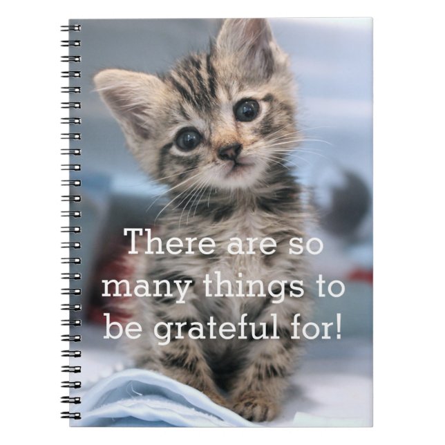 Grateful Kitten Journal (Front)