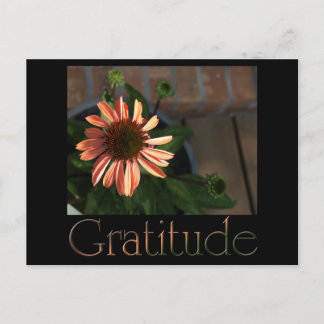 Gratitude 3 postcard