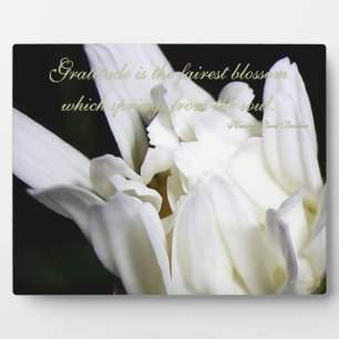 Gratitude Daisy Plaque