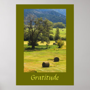 Gratitude Inspirational Poster