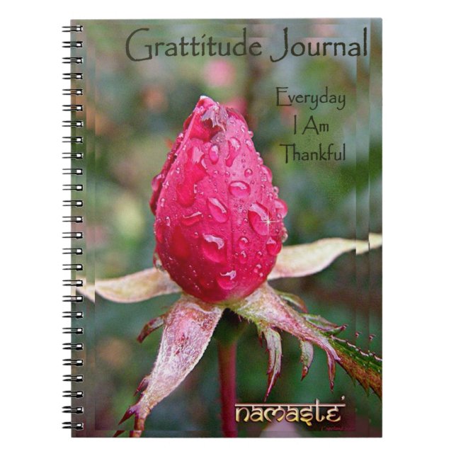 Gratitude Journal: Image By Richard Copeland Notebook (Front)